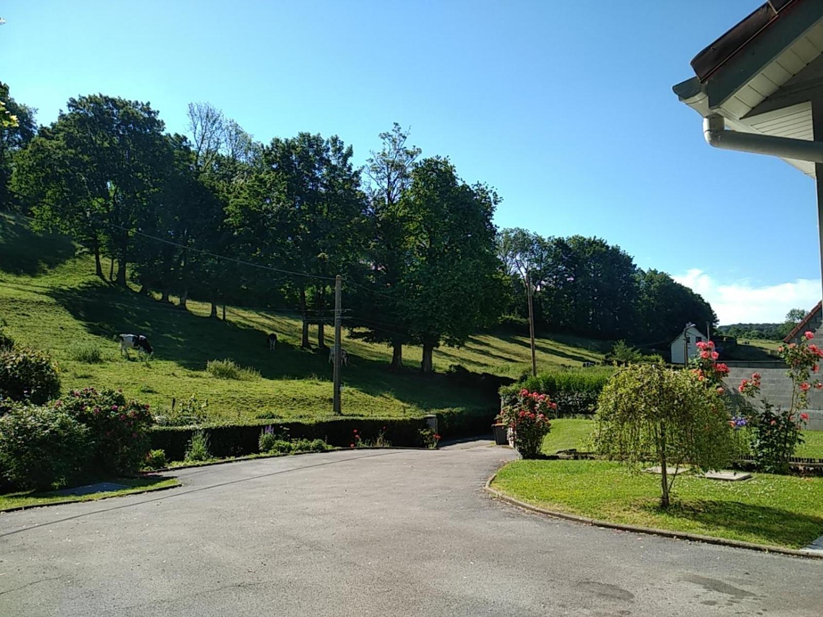 Gite De La Souche Avec Jacuzzi Doudeauville الغرفة الصورة